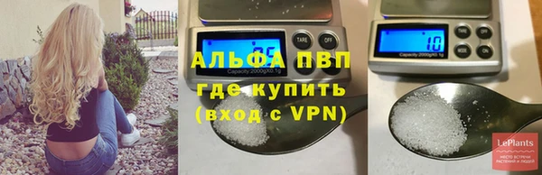 СК Бородино