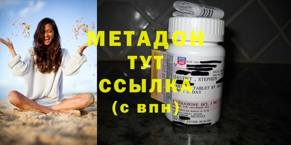 прущие грибы Верея