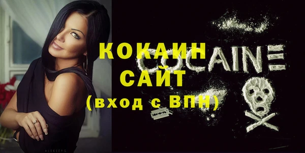 прущие грибы Верея