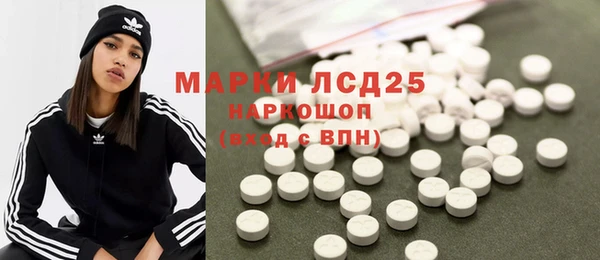 прущие грибы Верея