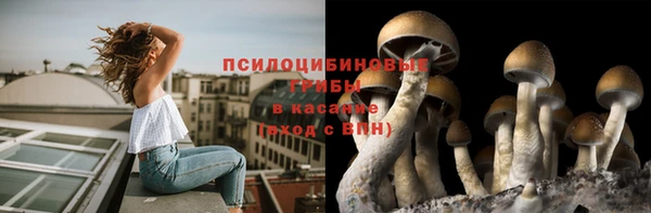гашик Бронницы