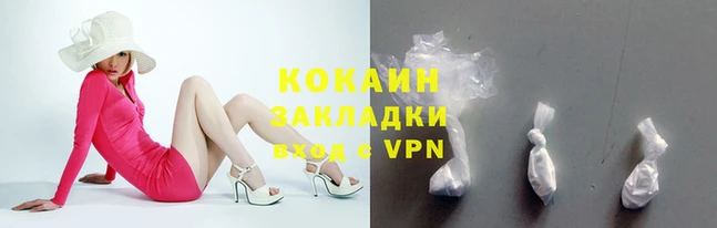 прущие грибы Верея