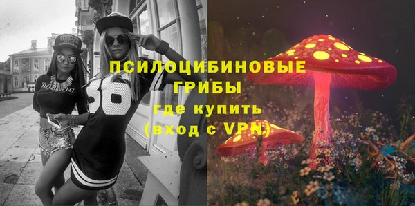прущие грибы Верея