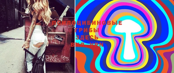 гашик Бронницы