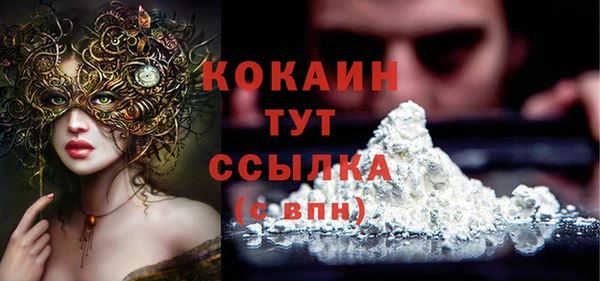 прущие грибы Верея