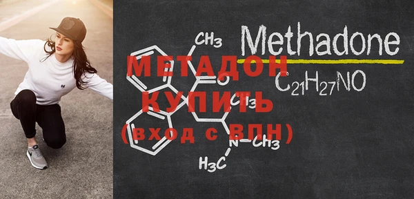 прущие грибы Верея