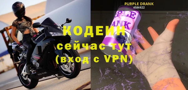 прущие грибы Верея