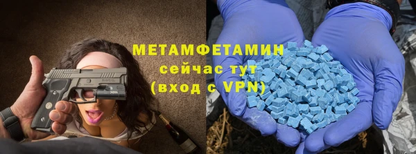 прущие грибы Верея