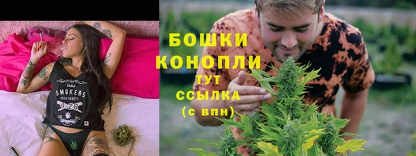 СК Бородино