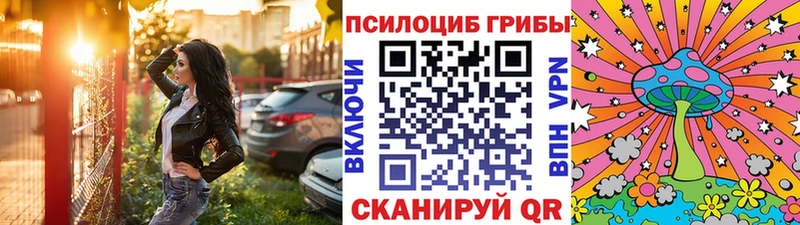 Галлюциногенные грибы Psilocybine cubensis  Карабаш 